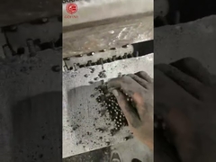 Nessun doppio granulatore composto di secchezza del fertilizzante del rullo NPK